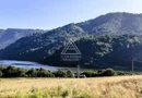 240 Hectare Pădure Valea Oltului Resurse Naturale Potențial Turistic