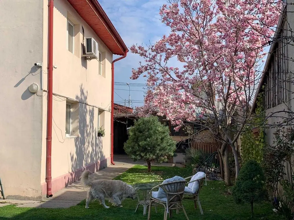 Vand  casa curte  + teren + SPATIU COMERCIAL