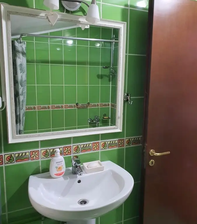 BRASADAS închiriază ap 2 cam la MANSARDA zona Dorobanti.