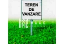 Teren Intravilan | 6000 mp | Turnisor