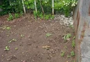 Casă de vânzare