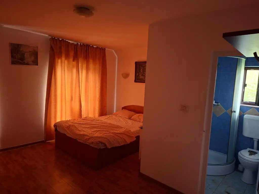 BRASADAS vinde casa individuala 9 cam in Bercu Rosu.
