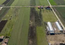 Teren 3.600 mp în Curtici, 2 fronturi stradale – La doar 20 km de Arad