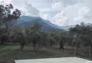 Skala Potamia Thassos-casa piatră+studio+cabană lemn,dependinte, 2500mp teren,700m până la mare....