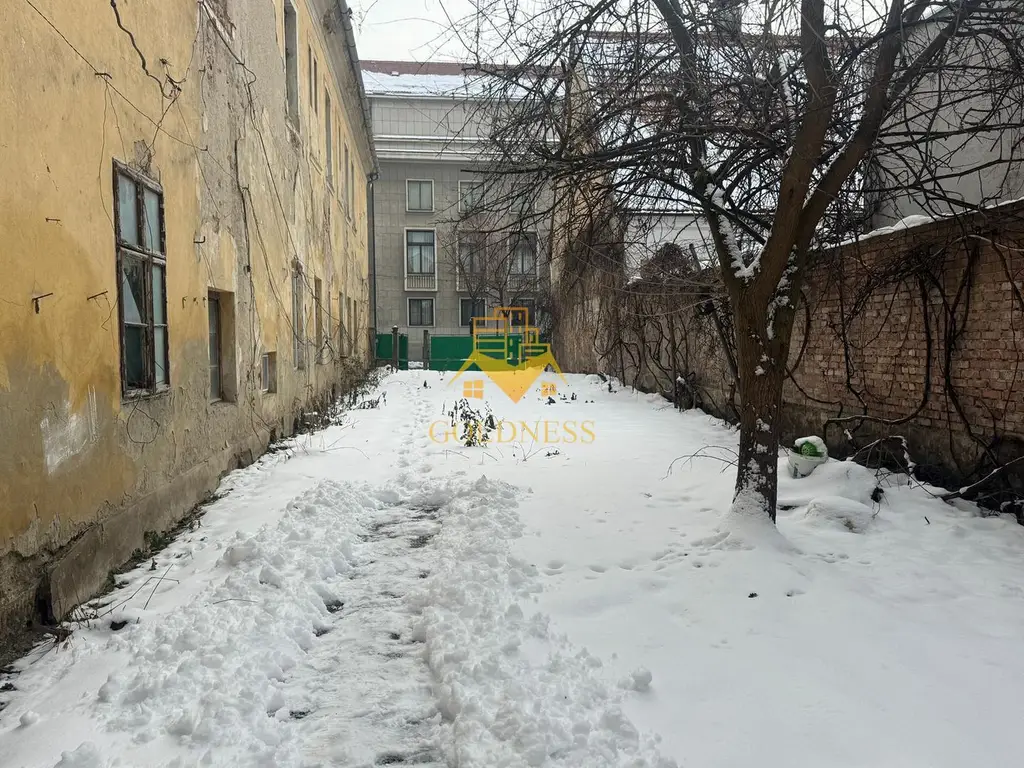 Casa/ Spatiu Birou, Curte 250mp, Parcari, Ultracentral, Avram Iancu