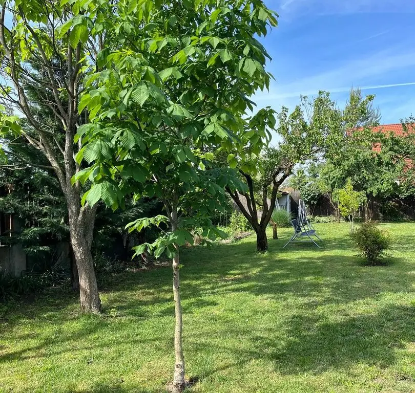 Casă elegantă, spațioasă, ideală pentru familie – Sanmihaiu Roman