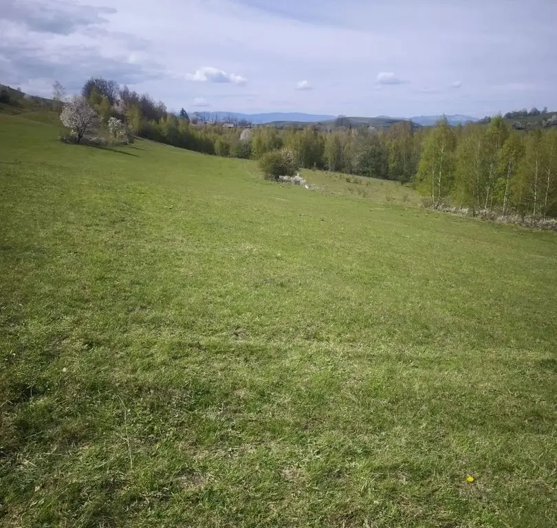 Teren de vânzare