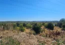 Teren intravilan 14.168 mp – pozitie excelenta la intrarea in Braila