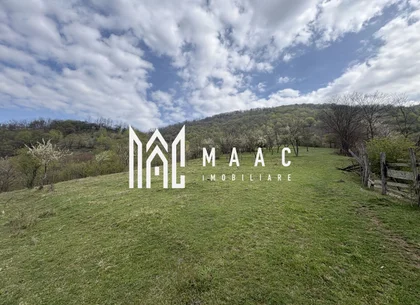 Teren de vânzare, 7750 mp I Orientare sudică I Caineni