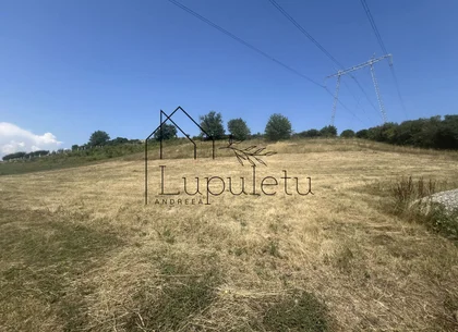 Teren Intravilan |5.000 MPU | Șura-Mare |