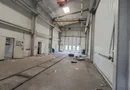 Distribuție /productie 3800 mp -constructie /14.000 mp curte.