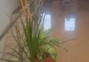 Proprietar inchiriez Vila P+2,din 2012,suprafata 345 mp, DAMAROAIA,S1