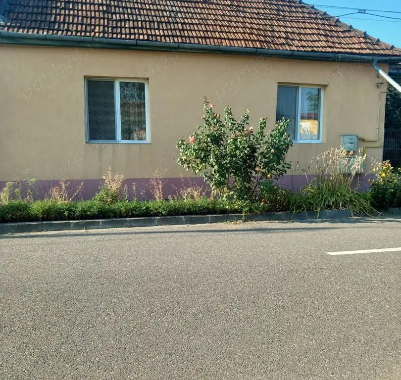 Casă + teren de vânzare