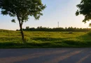 Vânzare teren intravilan – 9.500 mp, DN26 -Padurea Garboavele, Tulucesti