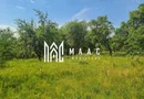 Teren | 12.922 MP | Loamneș