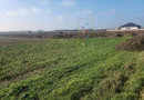 Teren agricol in intravilanul comunei Sacalaz.