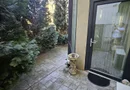 Apartament LUX cu 2 camere și curte privată 140 mp – Dumbrăvița