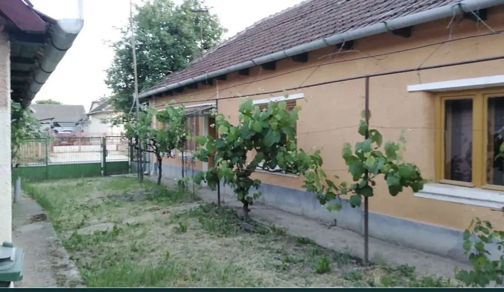 Ocazie Unica-2 Case+1 loc teren
