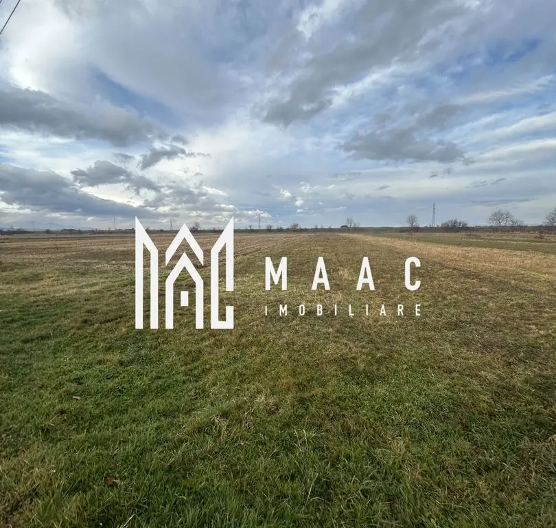 Teren Intravilan I Cârțișoara I 1200 MP