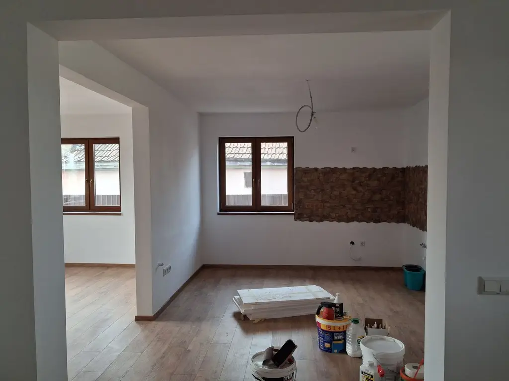 BRASADAS vinde casa individuala NOUA in Balta Blonda.