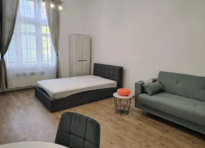 Chirie, ap. 1 camera, 40 mp, central Oradea. 320 E, comision 50%