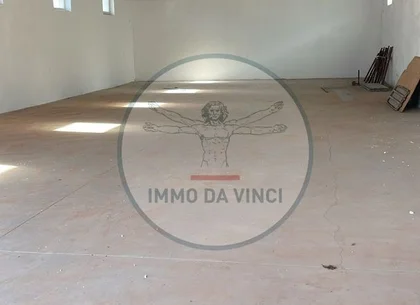 Hală Nouă 250 mp – Str. Depozitelor 56, Satu Mare