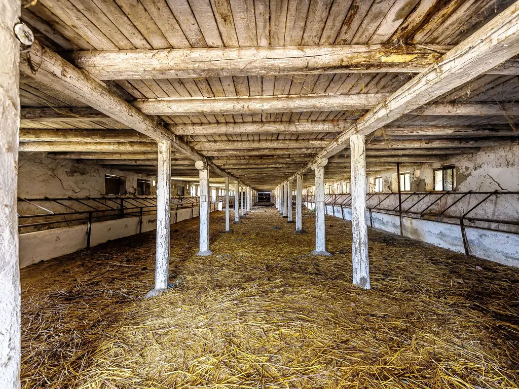 Fermă Mândruloc 2,5 ha