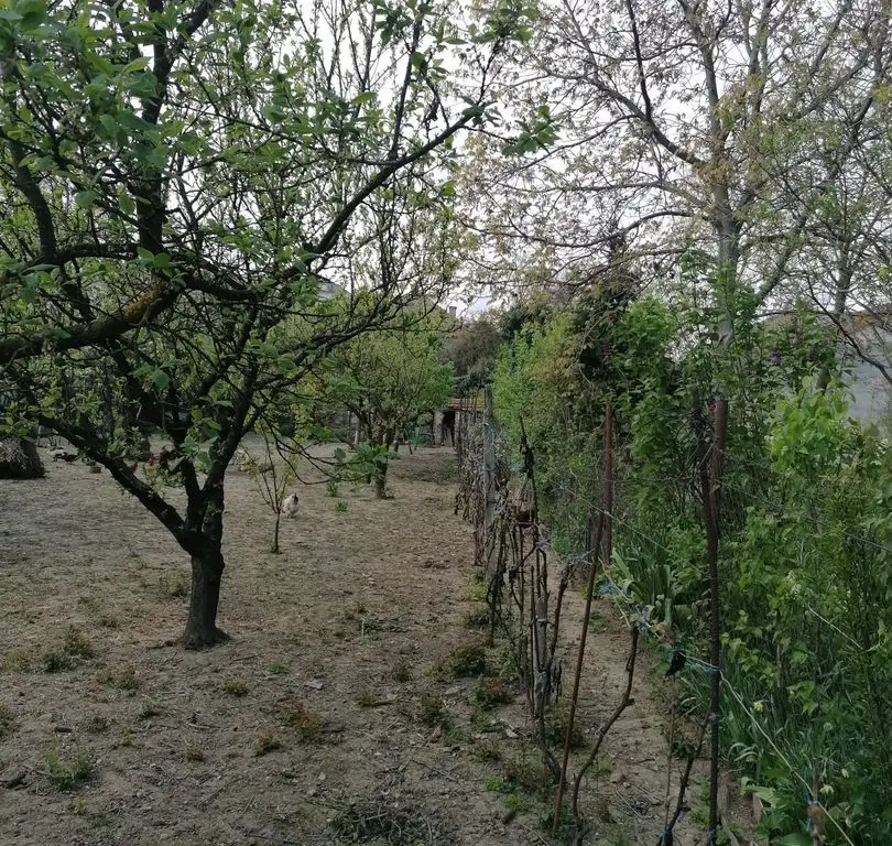 Ag EUROPA vinde casa 6 cam teren 11 ari în zona 14 Mai.