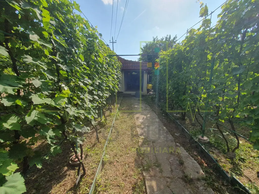 Teren in Timisoara. Zona Plopi. 421 mp