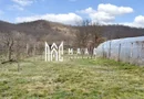 Casă 3 camere I Curte 814mp I Pivniță I Garaj I Axente Sever