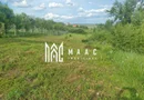 Teren intravilan de vânzare Daia Nouă | 1000 mp | Ideal pentru construcție