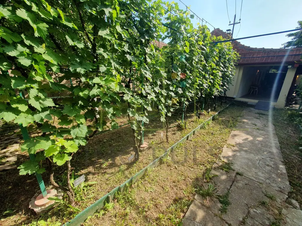 Teren in Timisoara. Zona Plopi. 421 mp