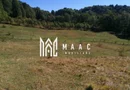 Teren Extravilan 20.000Mp I Stoenești -Vâlcea I Apă Curentă și Pădure
