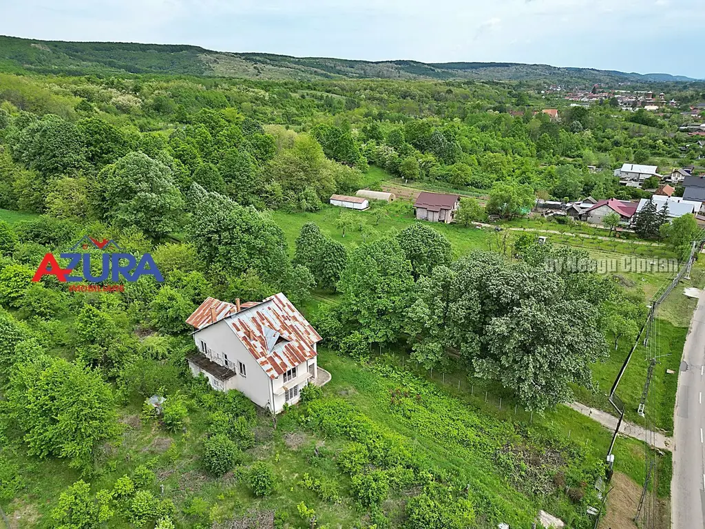 AZURA Imobiliare - Budeasa, Teren 5.069 mp, Casa BONUS