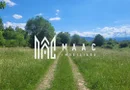 Teren de vanzare I izvor apă minerală  Dangești I 2 Hectare