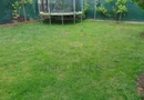 Casa individuala. 5 dormitoare. 4 bai.