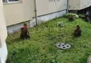 De vânzare apartament 2 camere – bloc nou –  str. Budiului