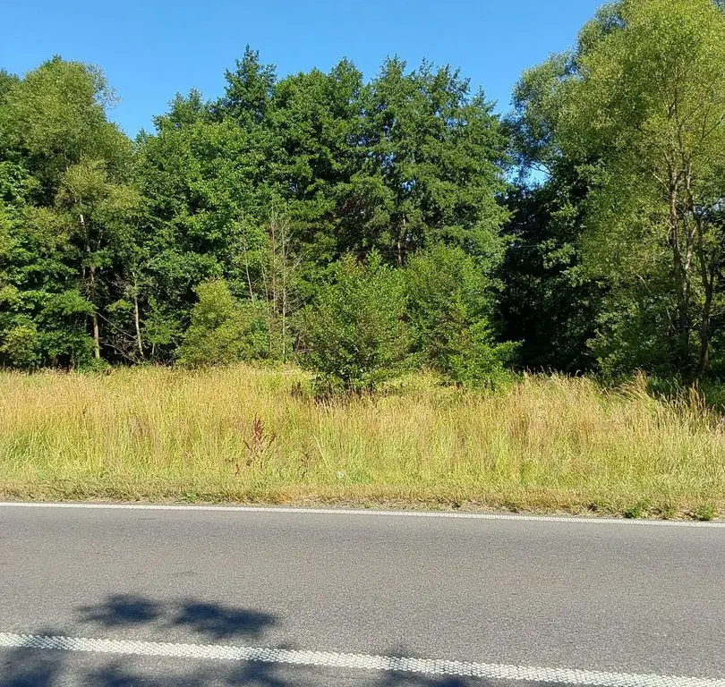 TEREN INTRAVILAN ÎN MARGA-LA DN68 JUD.CARAȘ-SEVERIN