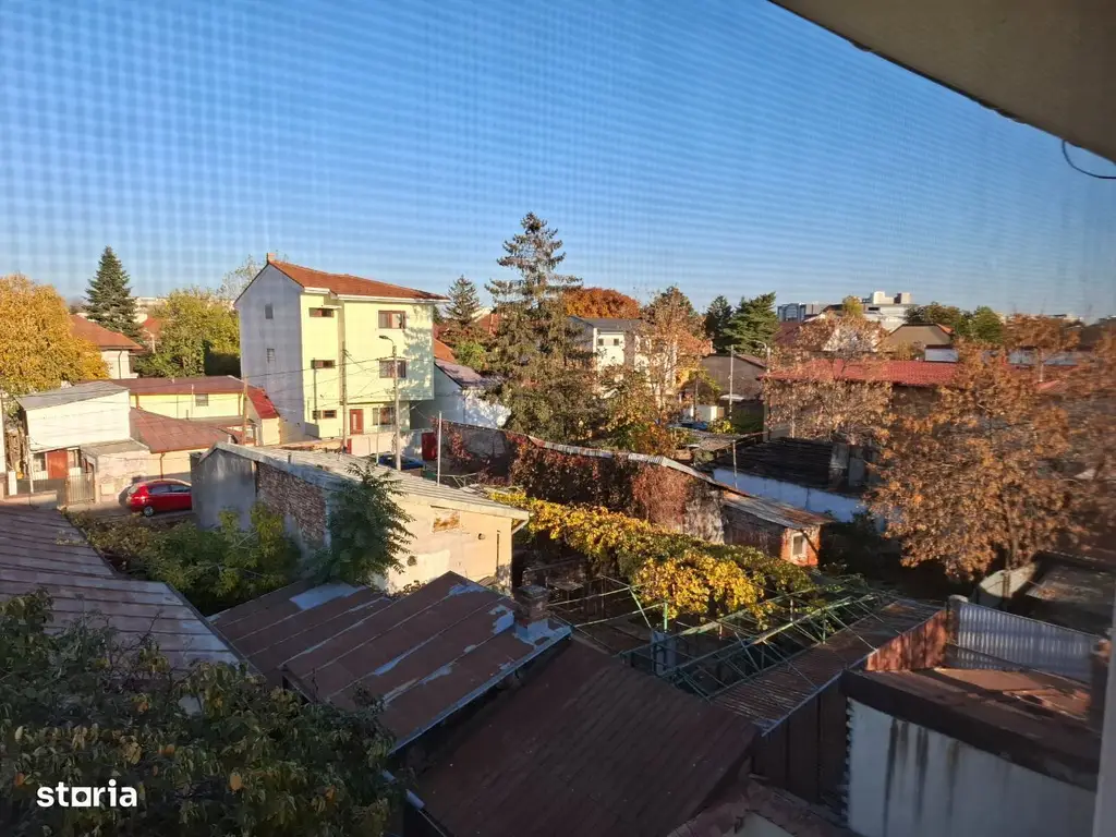 Casa cu mesteacan - DIRECT PROPRIETARI! - spectaculos toamna