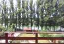 Vand/Inchiriez Casa 460mp+teren 1090mp Lac Ezareni - 1250euro/mp