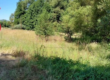 TEREN INTRAVILAN ÎN MARGA-LA DN68 JUD.CARAȘ-SEVERIN