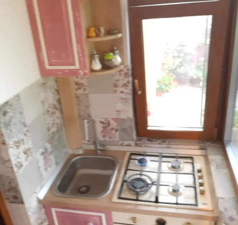 Penthouse cu grădină, beci, magazii, parcare - zona Bucium,