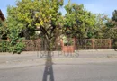 Teren 1842 mp. 200 Euro/mp. Girocului - Plavat 2.