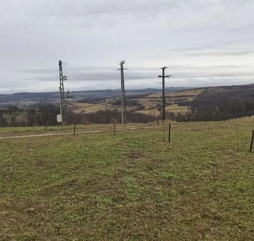 Teren cu o priveliste superba langa padure