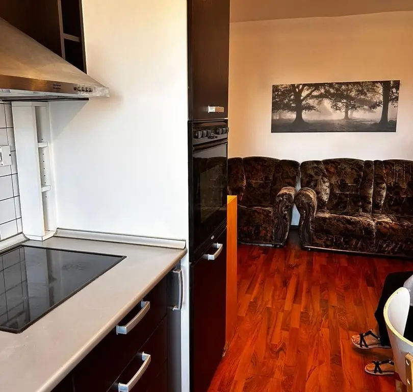 Banu Manta Titulescu apartament 2 camere mobilat de inchiriat