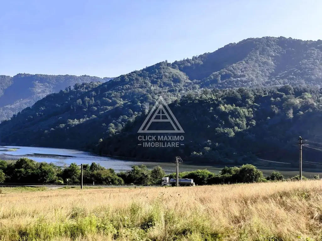 240 Hectare Pădure Valea Oltului Resurse Naturale Potențial Turistic