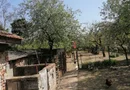Ag EUROPA vinde casa 6 cam teren 11 ari în zona 14 Mai.