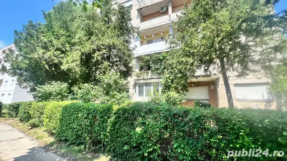 BRASADAS vinde ap 3 cam etaj 1/4 Careiului.
