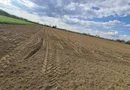 Vand teren extravilan in Martinesti