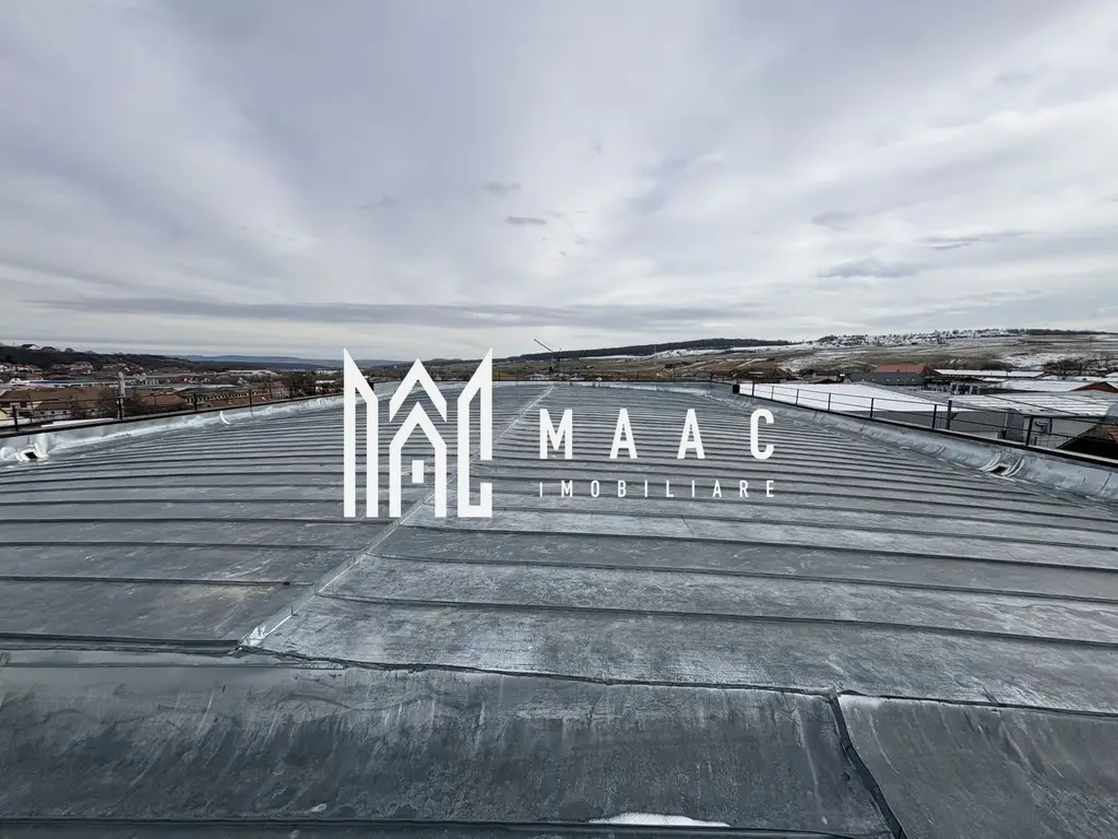 Hală industrială de vânzare I 1100 mp I Cisnadie